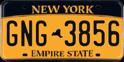 NY license plate GNG3856