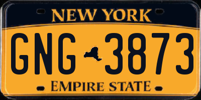 NY license plate GNG3873