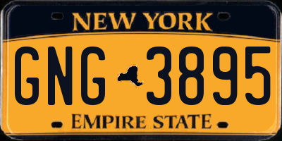 NY license plate GNG3895