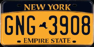 NY license plate GNG3908
