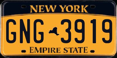 NY license plate GNG3919