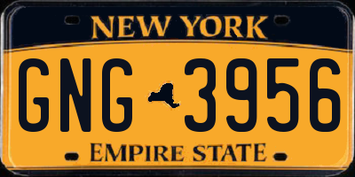NY license plate GNG3956