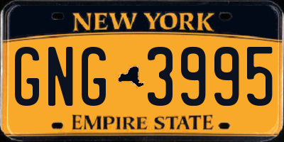 NY license plate GNG3995