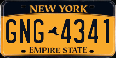 NY license plate GNG4341