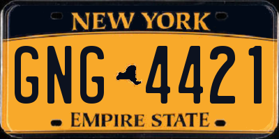 NY license plate GNG4421