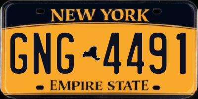 NY license plate GNG4491