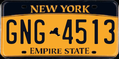 NY license plate GNG4513