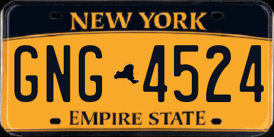 NY license plate GNG4524