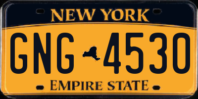 NY license plate GNG4530