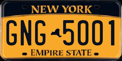 NY license plate GNG5001