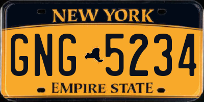 NY license plate GNG5234