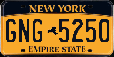 NY license plate GNG5250
