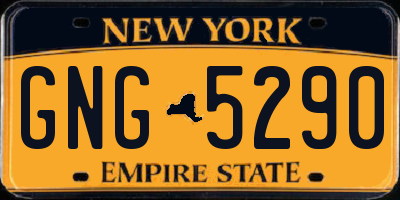 NY license plate GNG5290