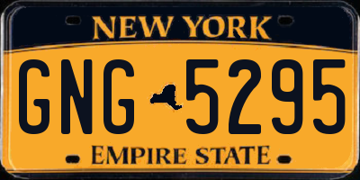 NY license plate GNG5295