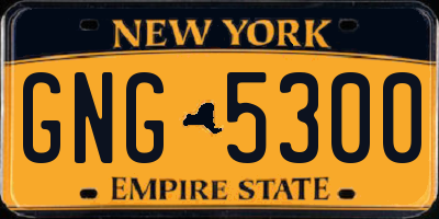 NY license plate GNG5300