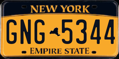 NY license plate GNG5344