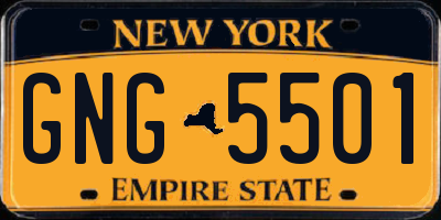 NY license plate GNG5501