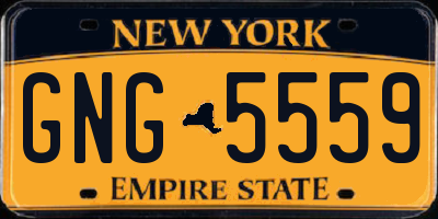 NY license plate GNG5559