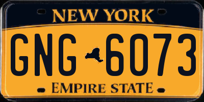 NY license plate GNG6073