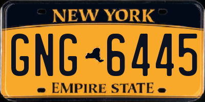 NY license plate GNG6445