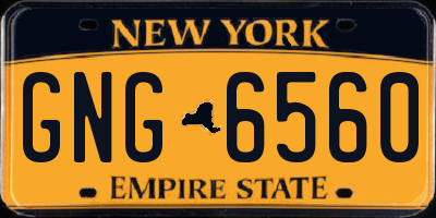 NY license plate GNG6560