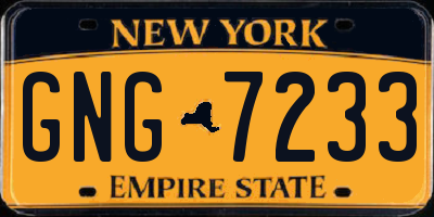 NY license plate GNG7233