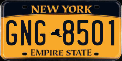 NY license plate GNG8501