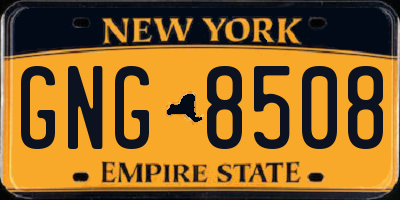 NY license plate GNG8508