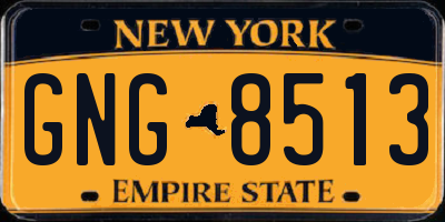 NY license plate GNG8513
