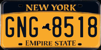 NY license plate GNG8518