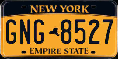 NY license plate GNG8527