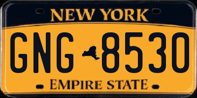 NY license plate GNG8530