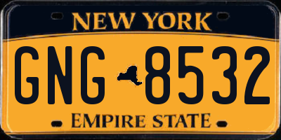 NY license plate GNG8532