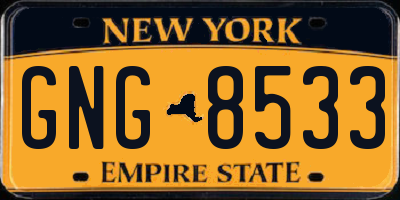 NY license plate GNG8533