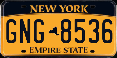 NY license plate GNG8536
