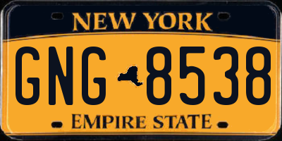 NY license plate GNG8538