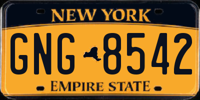 NY license plate GNG8542