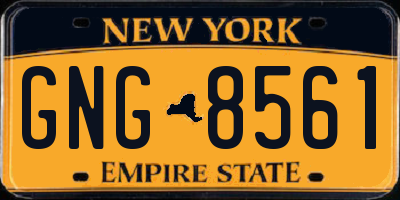 NY license plate GNG8561