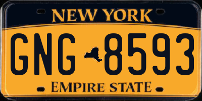 NY license plate GNG8593