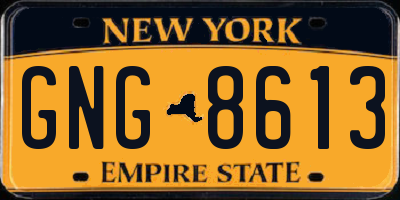 NY license plate GNG8613