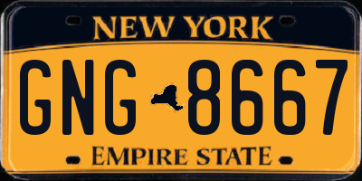 NY license plate GNG8667