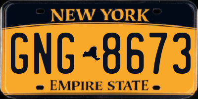 NY license plate GNG8673
