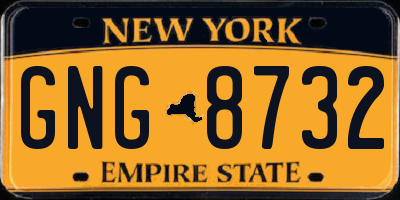 NY license plate GNG8732