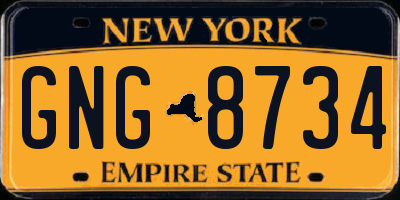 NY license plate GNG8734