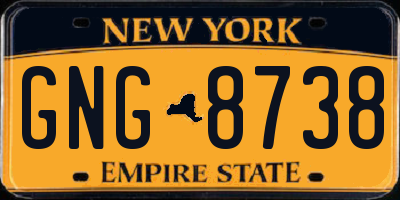 NY license plate GNG8738
