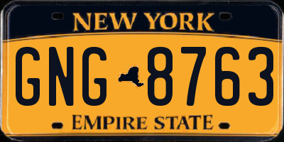 NY license plate GNG8763