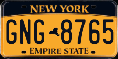 NY license plate GNG8765