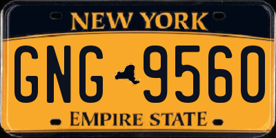 NY license plate GNG9560