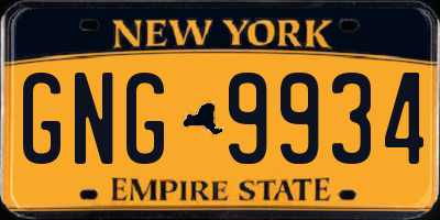 NY license plate GNG9934