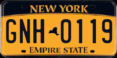 NY license plate GNH0119